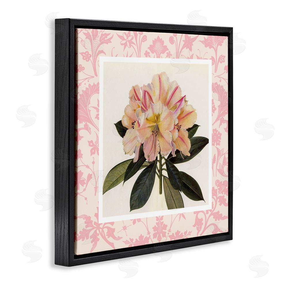 Livi Finn Pink Vintage Pattern Botanical Black Floating Frame Canvas Wall Art Print