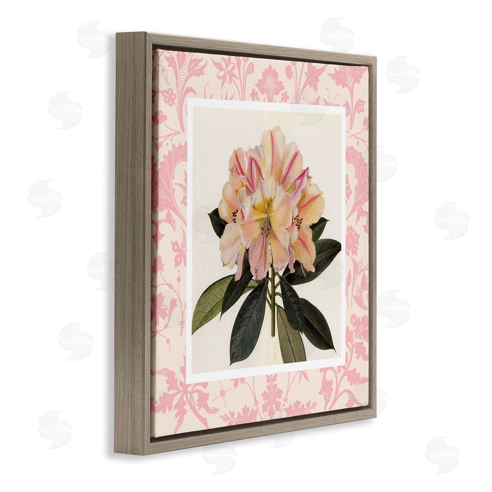 Livi Finn Pink Vintage Pattern Botanical Brown Floating Frame Canvas Wall Art Print