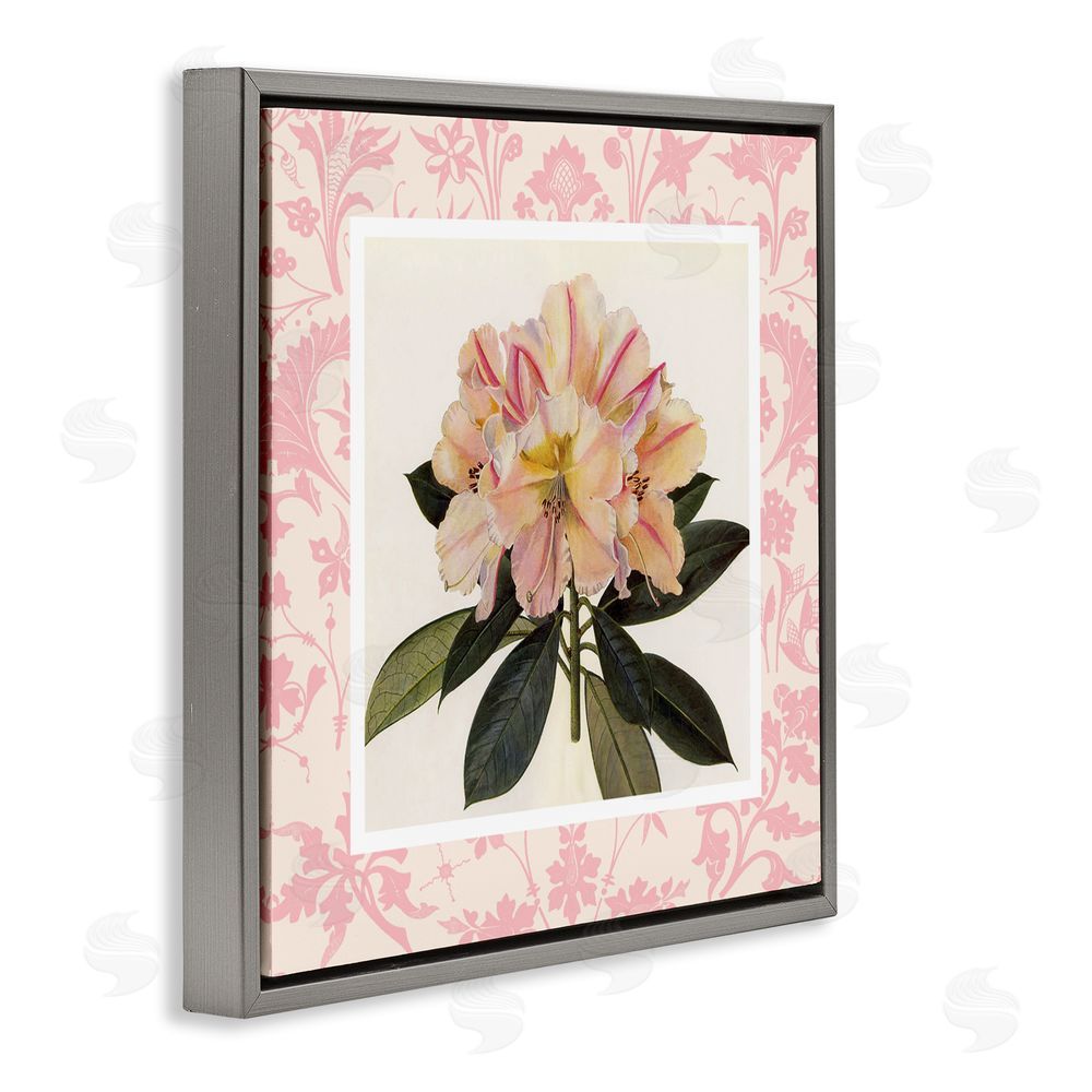 Livi Finn Pink Vintage Pattern Botanical Gray Floating Frame Canvas Wall Art Print