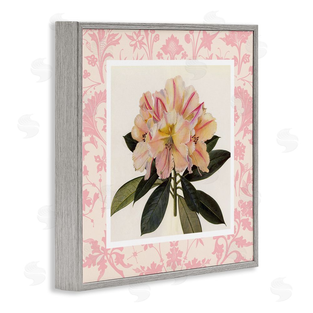 Livi Finn Pink Vintage Pattern Botanical Gray Framed Giclee Wall Art Print