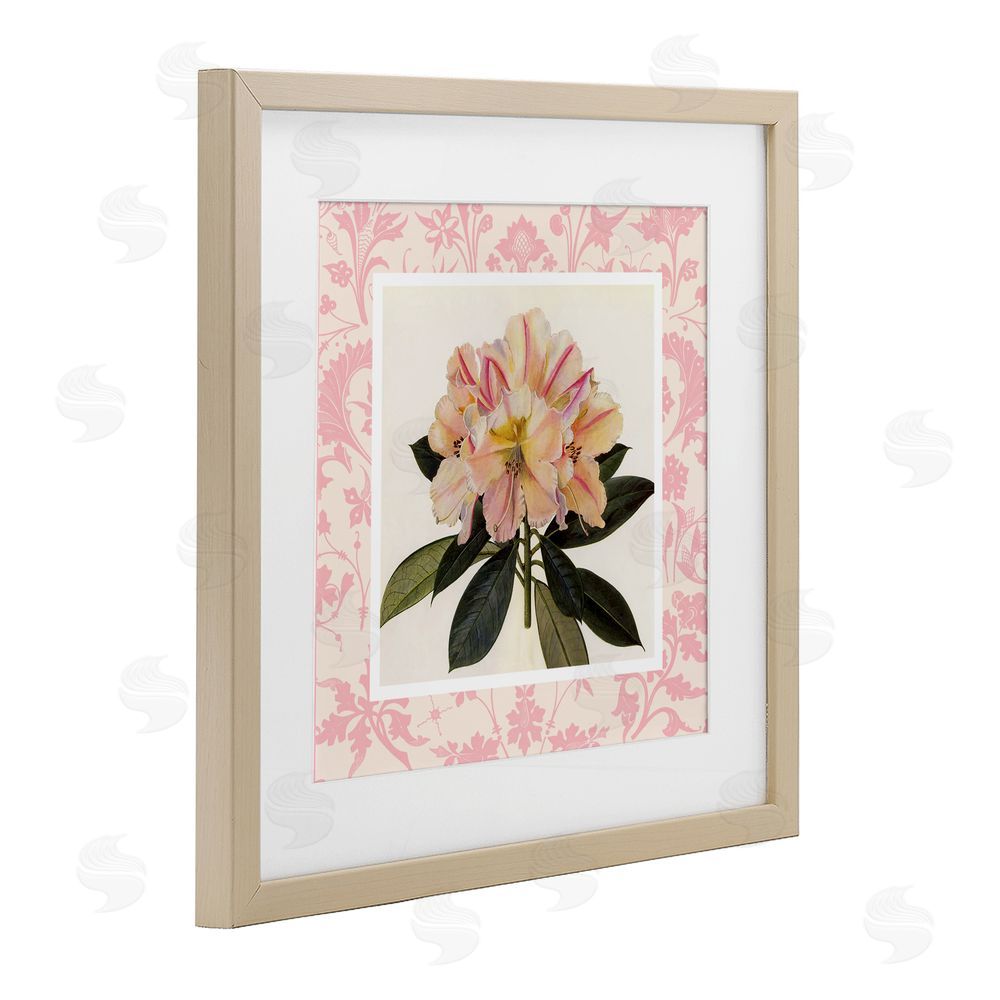 Livi Finn Pink Vintage Pattern Botanical Birch Framed Print Under Glass Wall Art