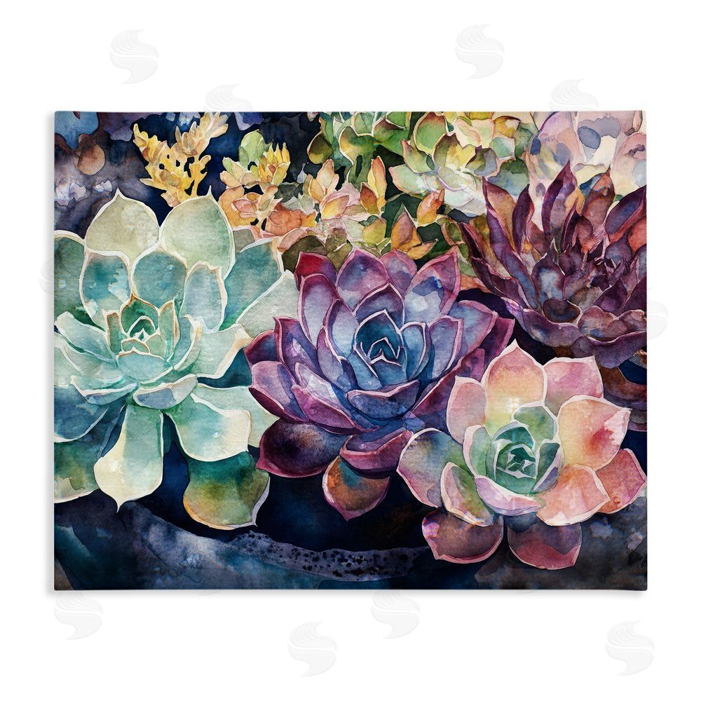 Svetlana Aleynikova Tutti Succulents Collection Stretched Canvas Wall Art Print