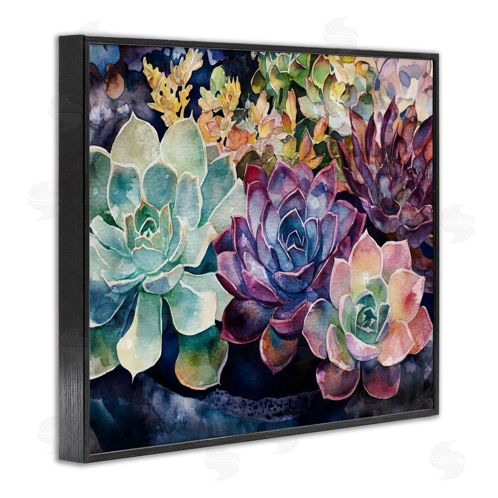Svetlana Aleynikova Tutti Succulents Collection Black Framed Giclee Wall Art Print