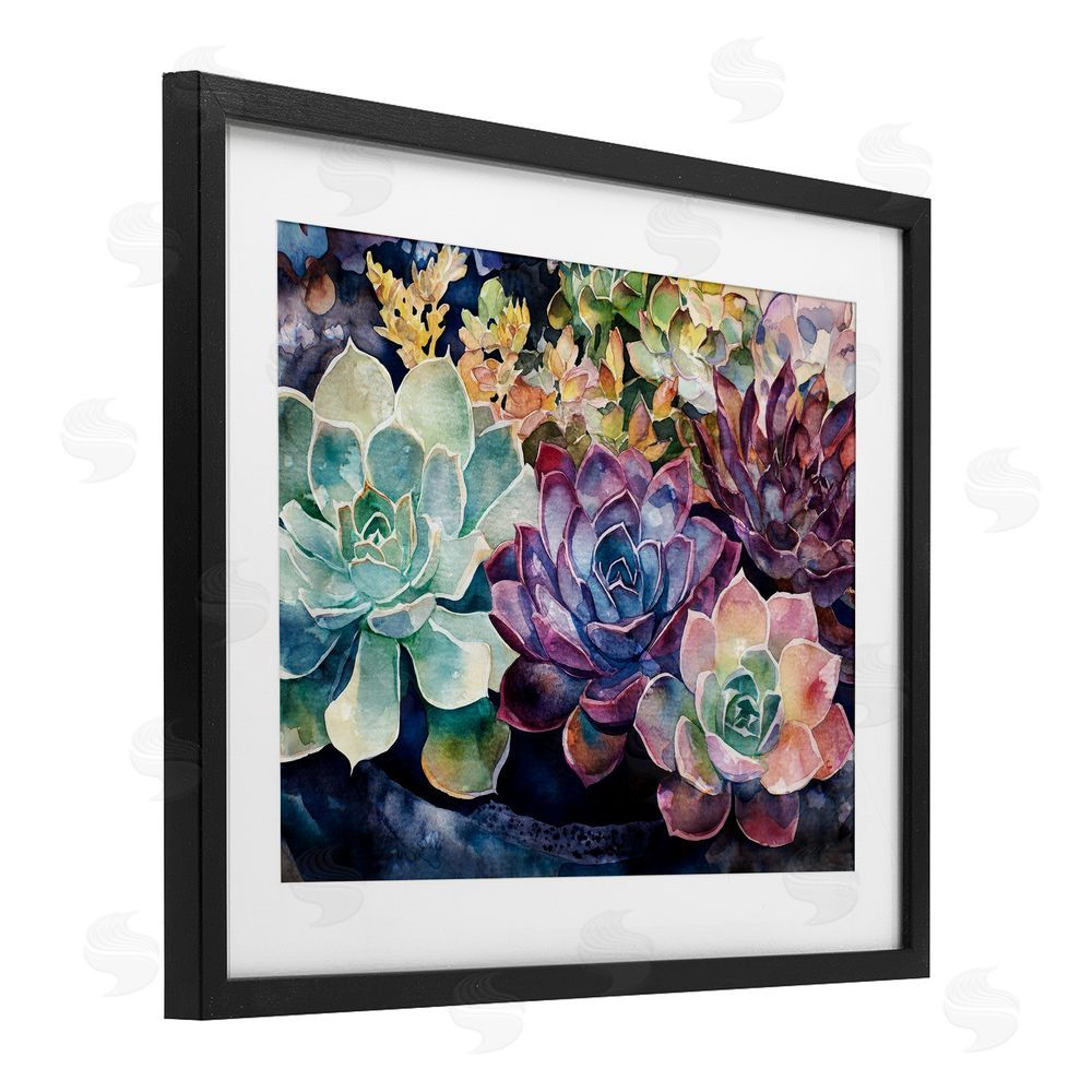 Svetlana Aleynikova Tutti Succulents Collection Black Framed Print Under Glass Wall Art