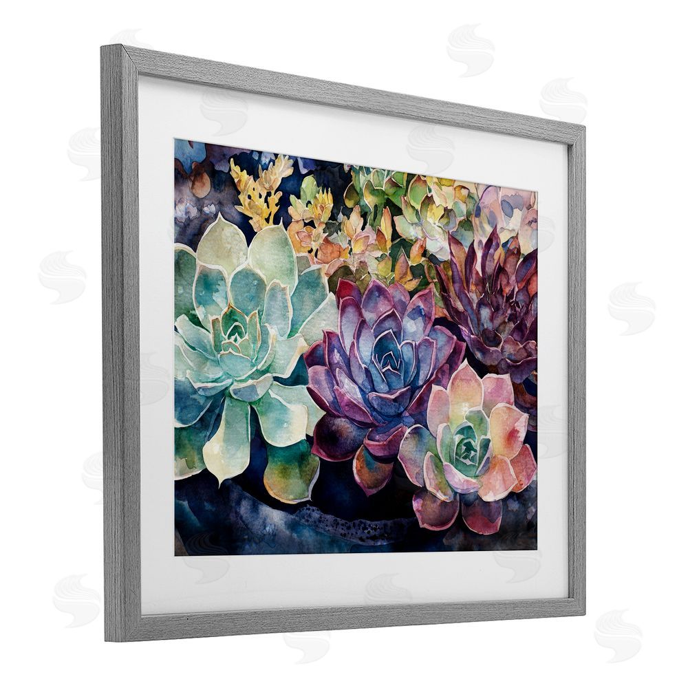 Svetlana Aleynikova Tutti Succulents Collection Gray Framed Print Under Glass Wall Art