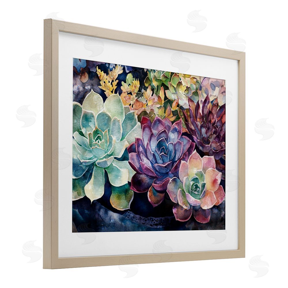 Svetlana Aleynikova Tutti Succulents Collection Birch Framed Print Under Glass Wall Art