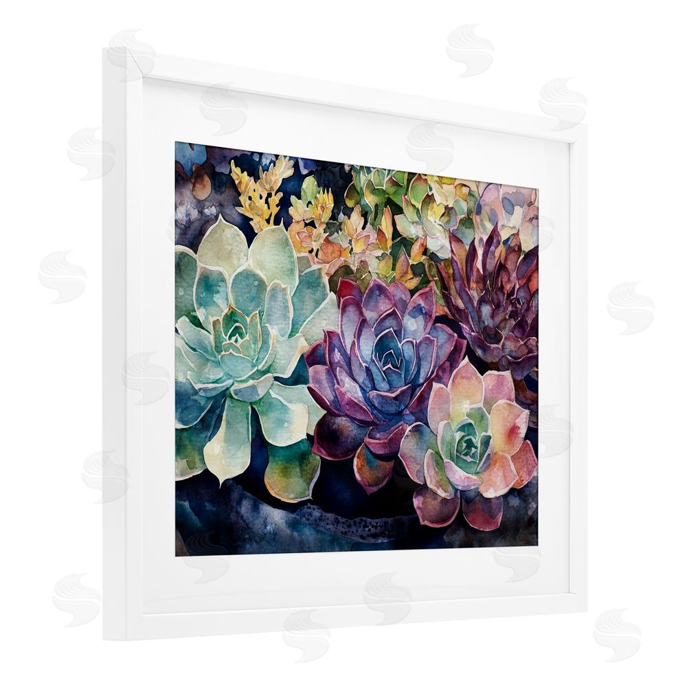 Svetlana Aleynikova Tutti Succulents Collection White Framed Print Under Glass Wall Art