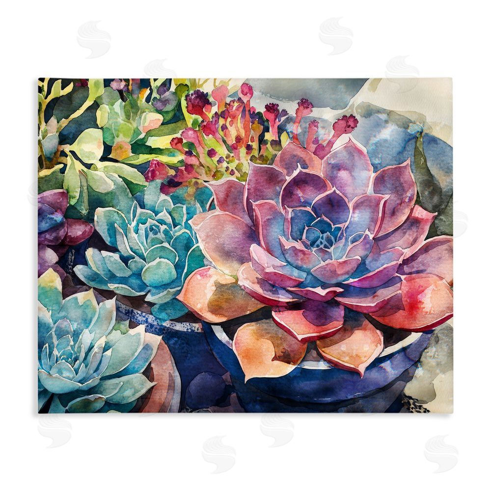 Svetlana Aleynikova Sun Kissed Succulents Stretched Canvas Wall Art Print