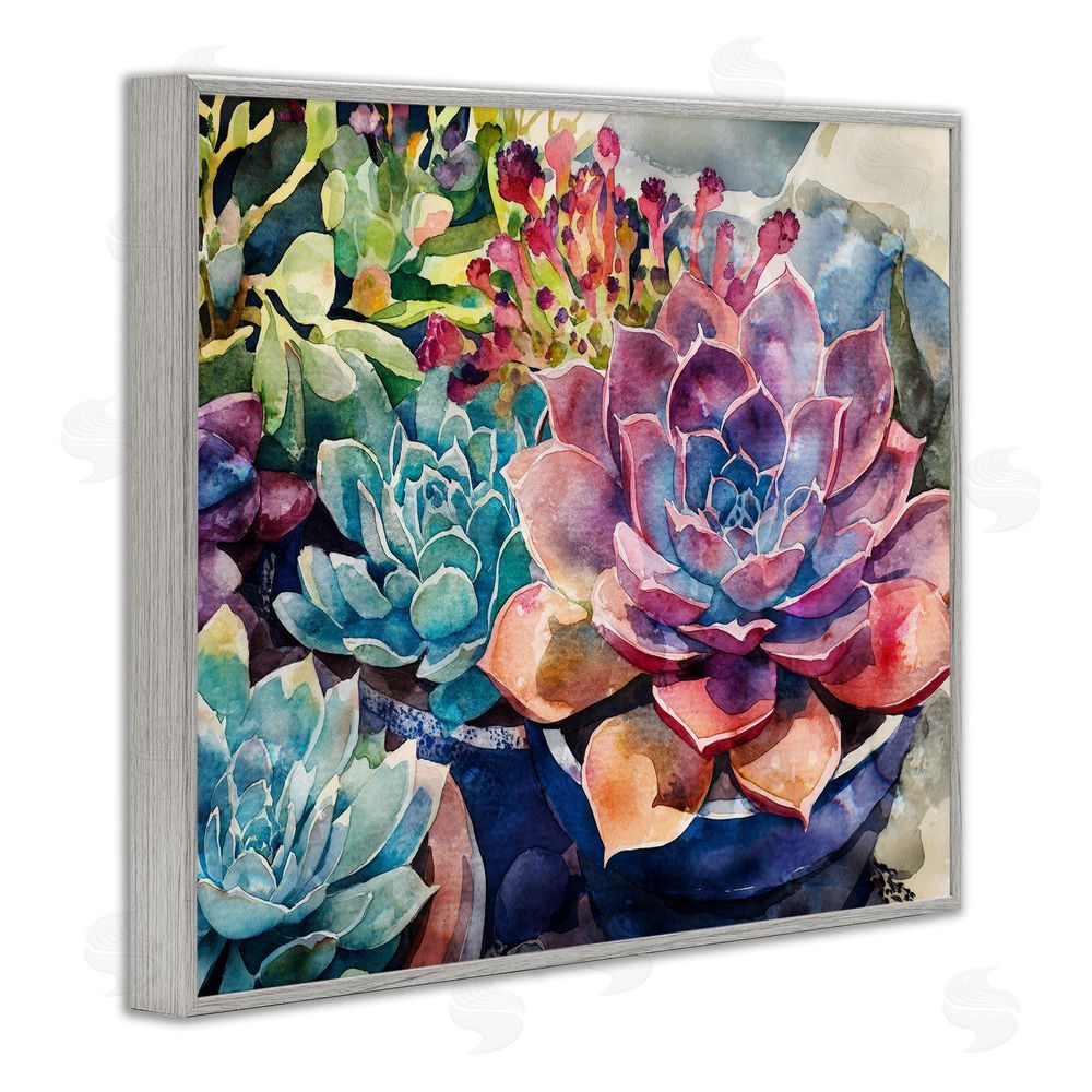 Svetlana Aleynikova Sun Kissed Succulents Gray Framed Giclee Wall Art Print
