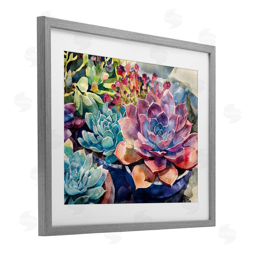 Svetlana Aleynikova Sun Kissed Succulents Gray Framed Print Under Glass Wall Art