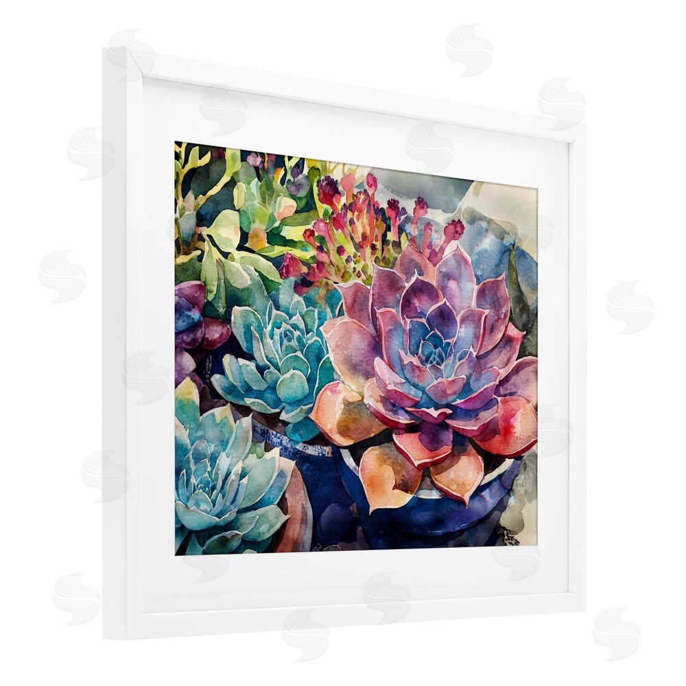 Svetlana Aleynikova Sun Kissed Succulents White Framed Print Under Glass Wall Art