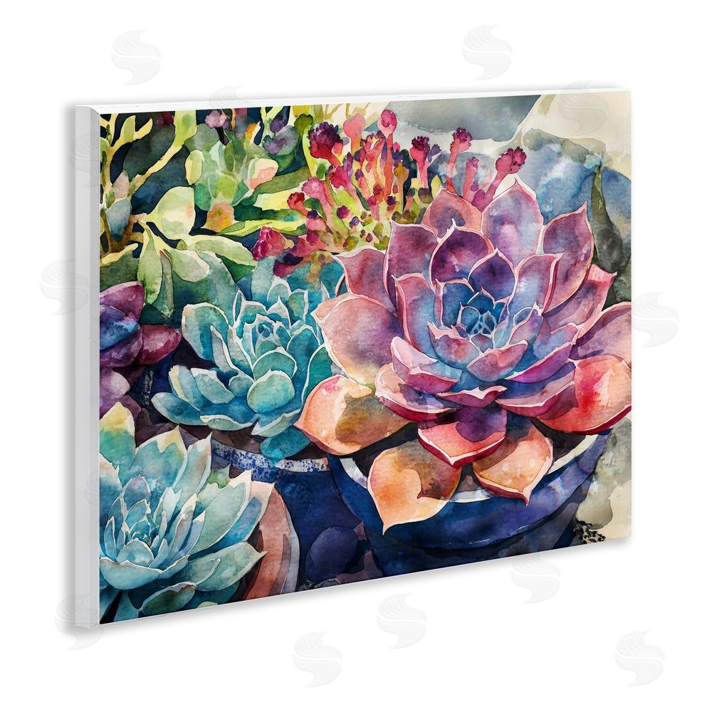 Svetlana Aleynikova Sun Kissed Succulents Wall Plaque Art Print