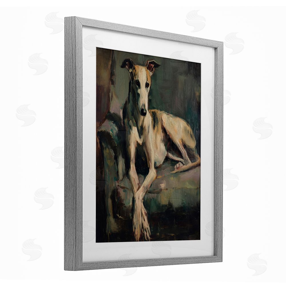 Svetlana Aleynikova Regal Comfort Whippet Dog Gray Framed Print Under Glass Wall Art