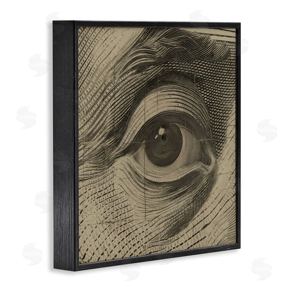 Svetlana Aleynikova Franklin's Gaze Eye Black Framed Giclee Wall Art Print