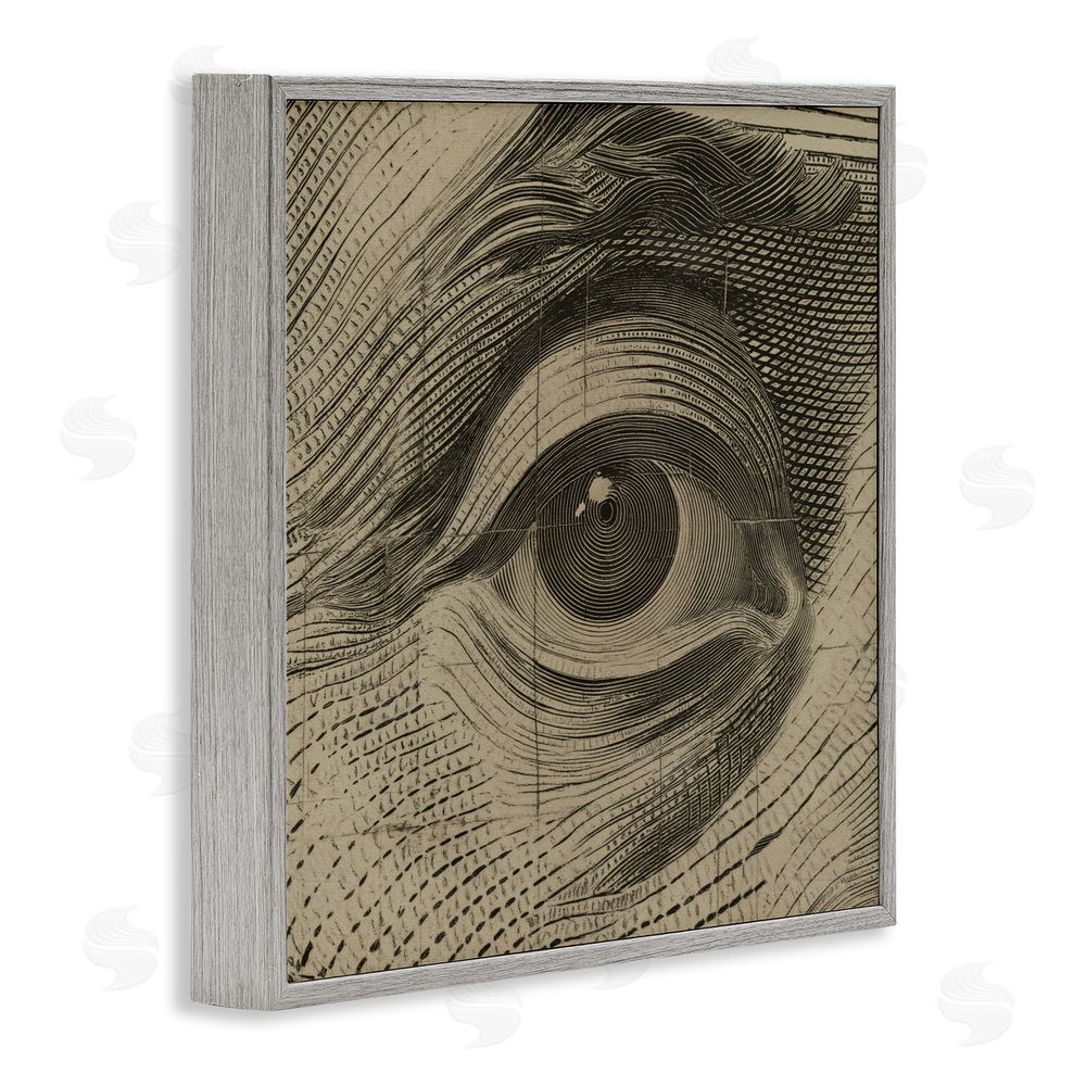Svetlana Aleynikova Franklin's Gaze Eye Gray Framed Giclee Wall Art Print