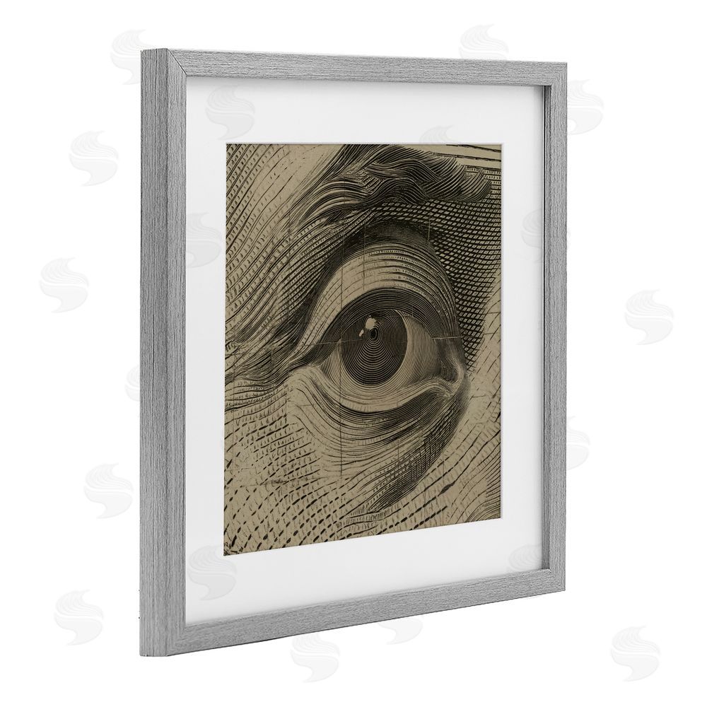 Svetlana Aleynikova Franklin's Gaze Eye Gray Framed Print Under Glass Wall Art