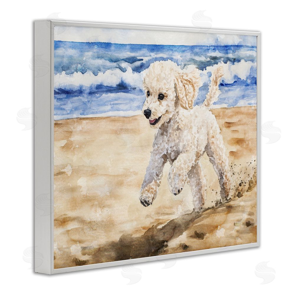 Svetlana Aleynikova Poodle's Journey on Beach White Framed Giclee Wall Art Print