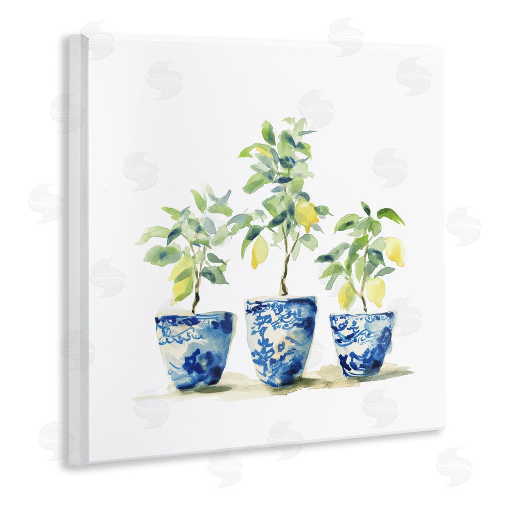 Svetlana Aleynikova Lemons In Blue Pots Wall Plaque Art Print