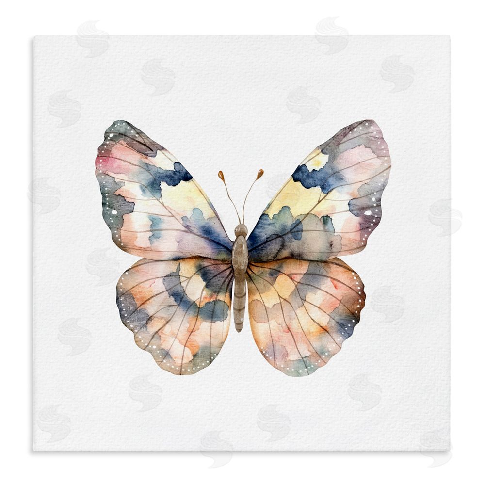 Kim Allen Traditional Watercolor Butterfly Stretched Canvas Wall Art Print