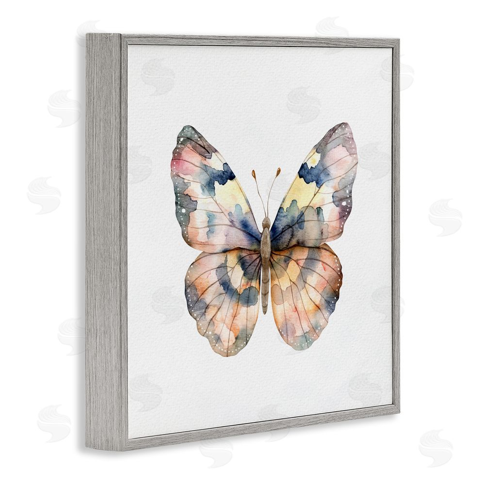 Kim Allen Traditional Watercolor Butterfly Gray Framed Giclee Wall Art Print