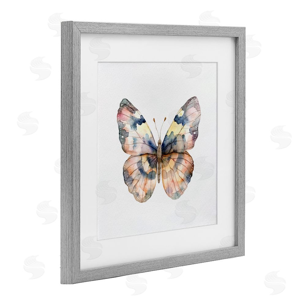 Kim Allen Traditional Watercolor Butterfly Gray Framed Print Under Glass Wall Art