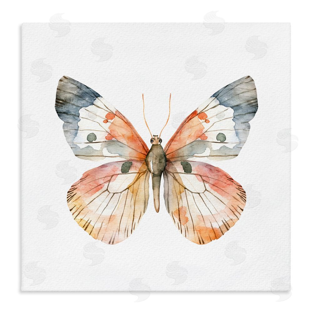 Kim Allen Warm Watercolor Butterfly Stretched Canvas Wall Art Print