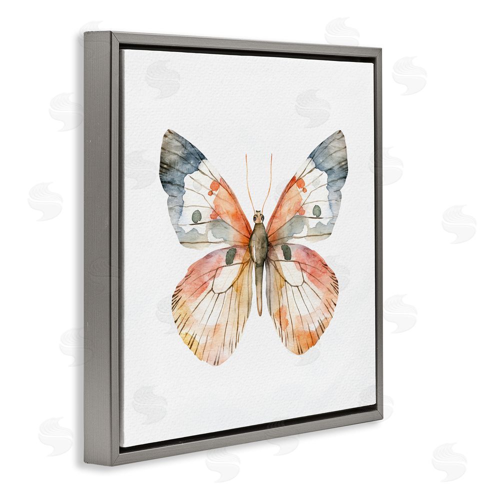 Kim Allen Warm Watercolor Butterfly Gray Floating Frame Canvas Wall Art Print