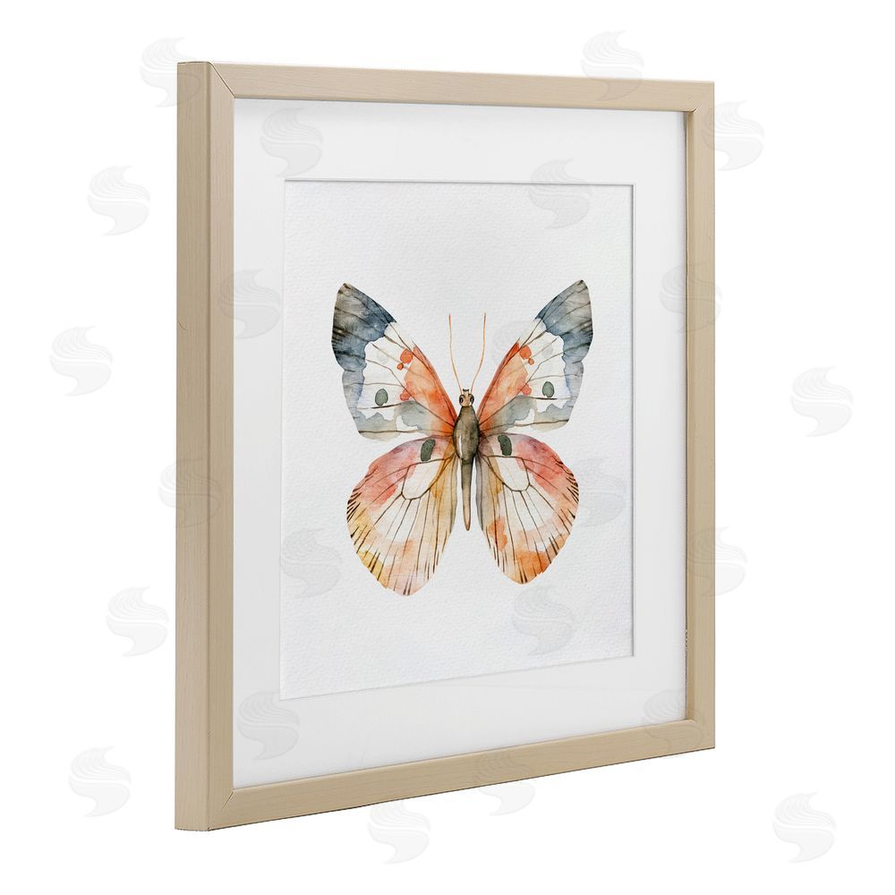 Kim Allen Warm Watercolor Butterfly Birch Framed Print Under Glass Wall Art