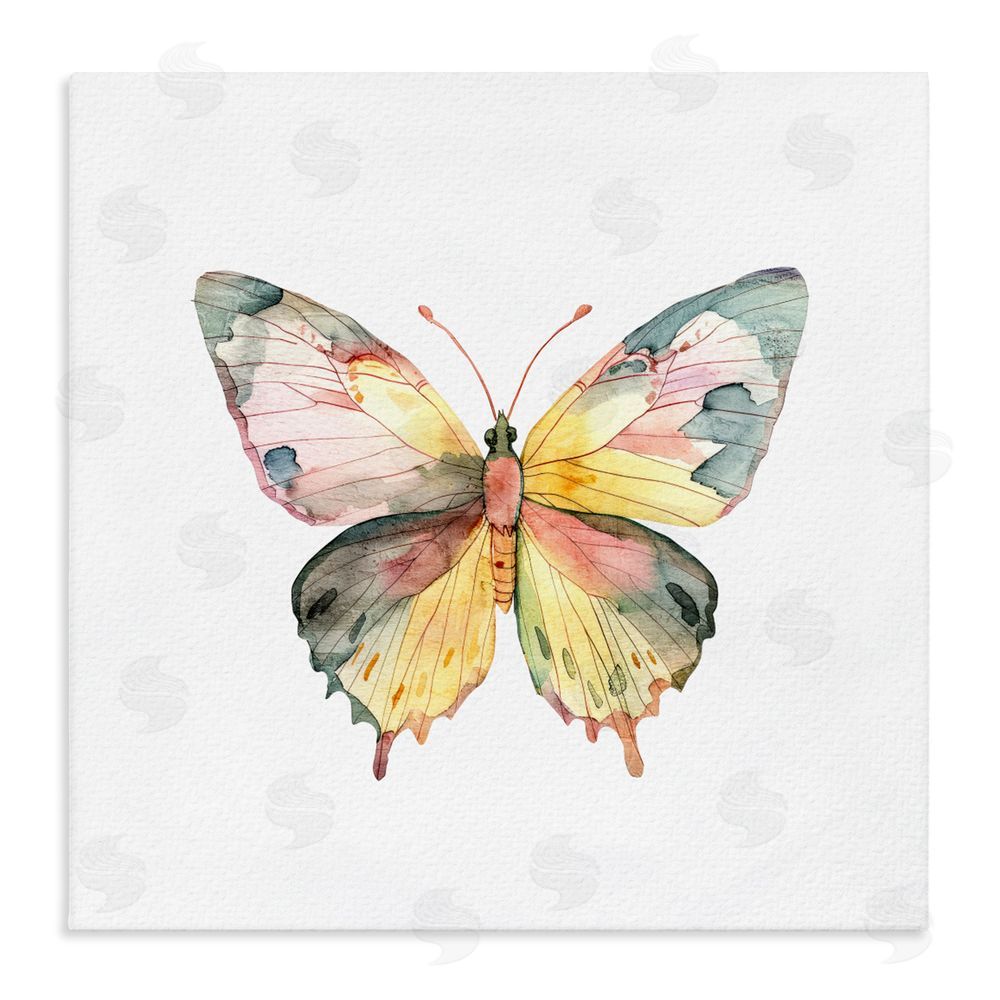 Kim Allen Watercolor Butterfly Subtlety Stretched Canvas Wall Art Print