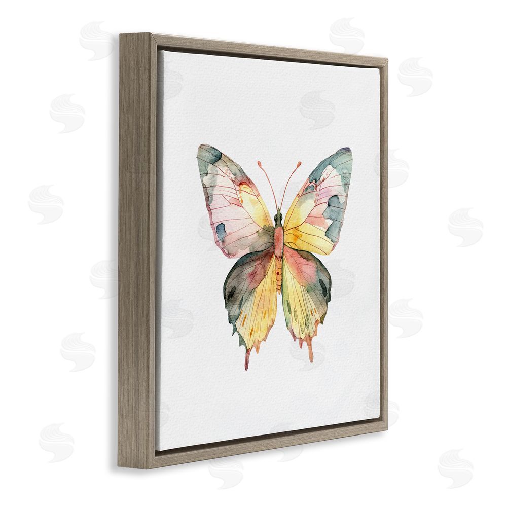 Kim Allen Watercolor Butterfly Subtlety Brown Floating Frame Canvas Wall Art Print