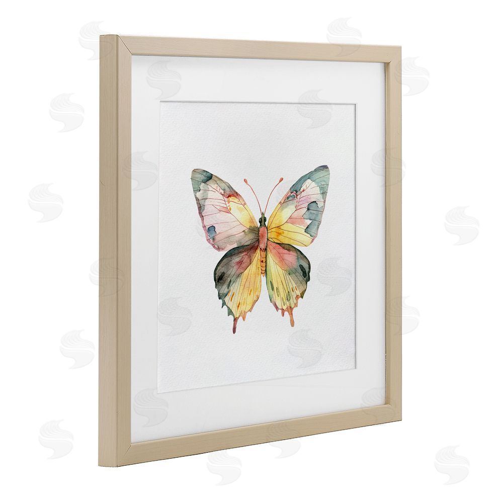 Kim Allen Watercolor Butterfly Subtlety Birch Framed Print Under Glass Wall Art
