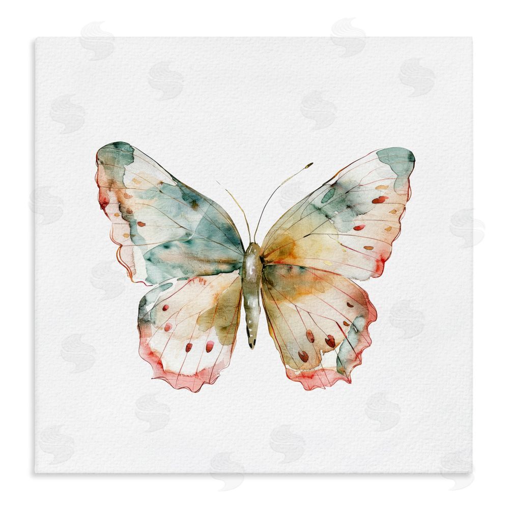 Kim Allen Muted Watercolor Butterfly Stretched Canvas Wall Art Print