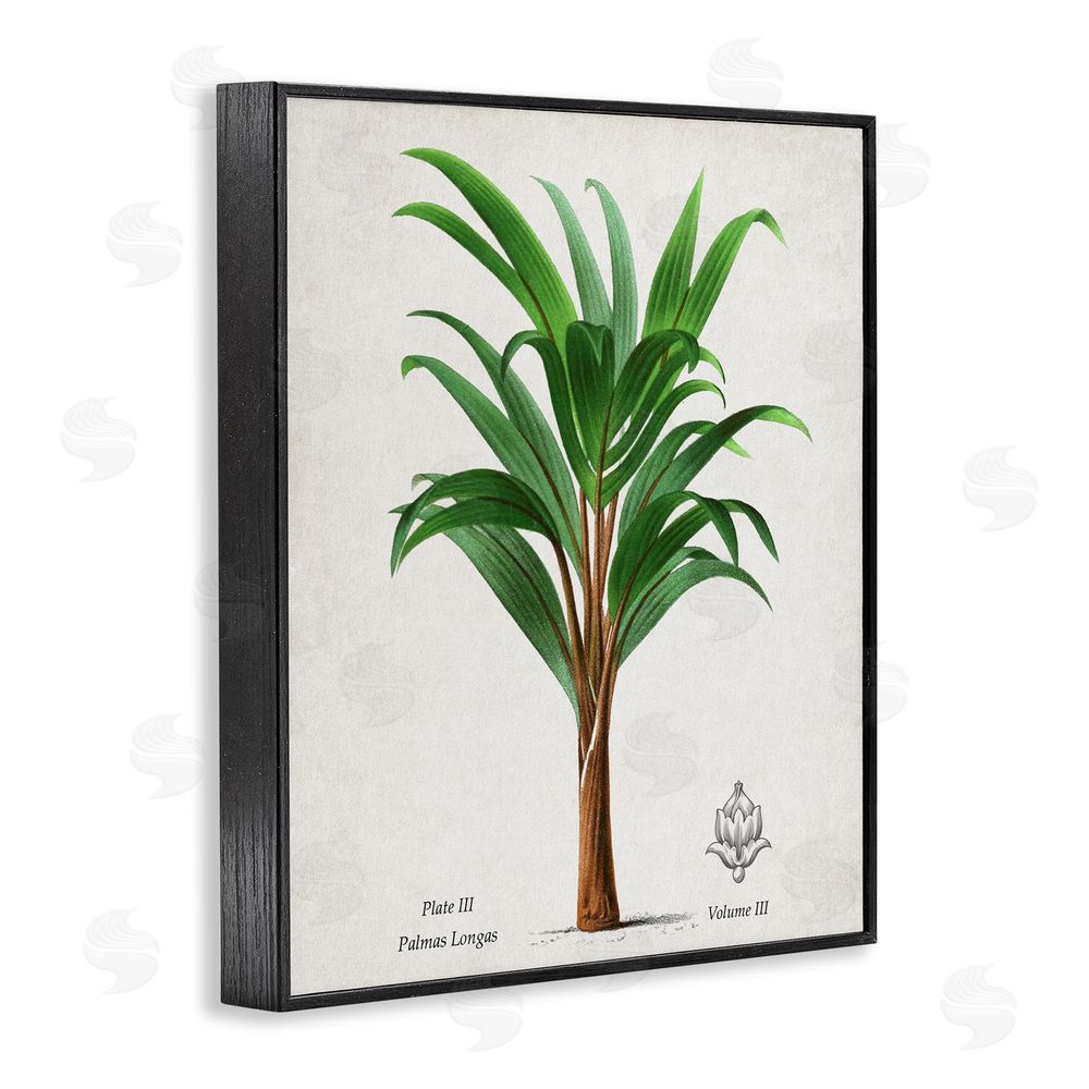 Val Rhodes Palmas Longas Palm Tree Black Framed Giclee Wall Art Print
