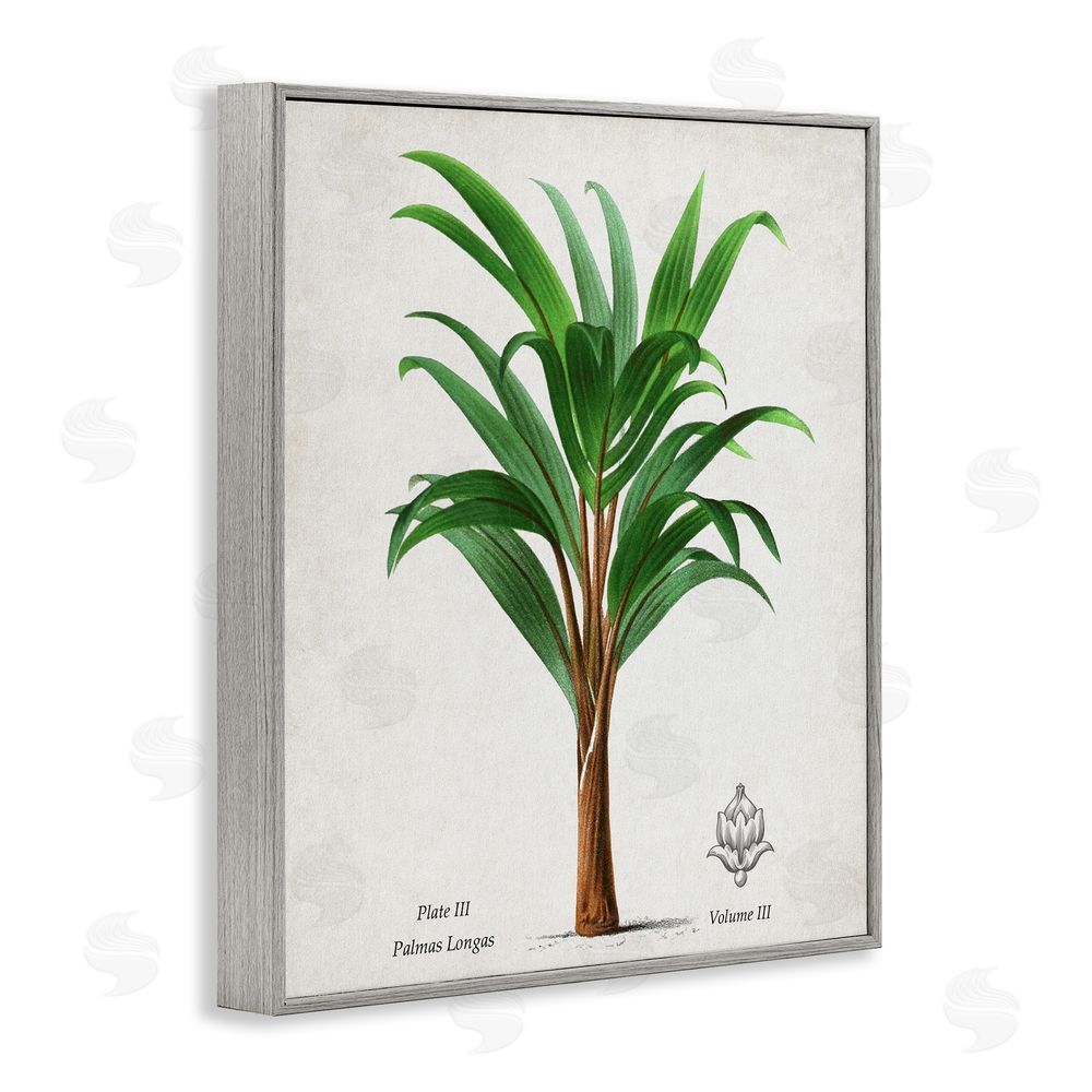 Val Rhodes Palmas Longas Palm Tree Gray Framed Giclee Wall Art Print