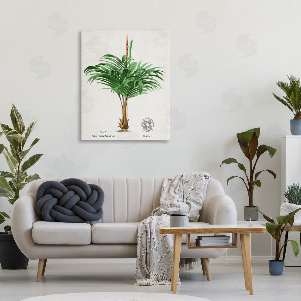 Val Rhodes Natural Palm Variety Study Canvas Wall Art Print in Room