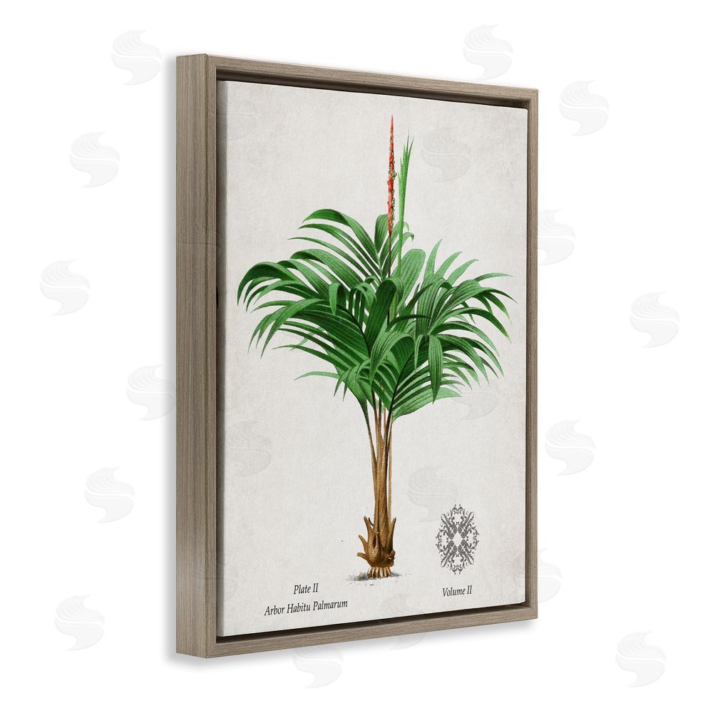 Val Rhodes Natural Palm Variety Study Brown Floating Frame Canvas Wall Art Print