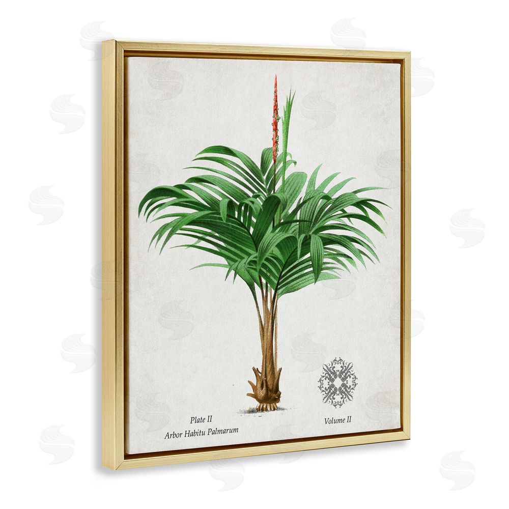 Val Rhodes Natural Palm Variety Study Gold Floating Frame Canvas Wall Art Print