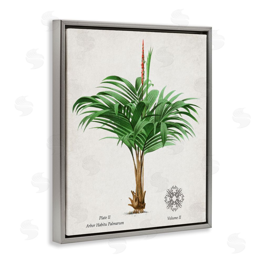 Val Rhodes Natural Palm Variety Study Gray Floating Frame Canvas Wall Art Print