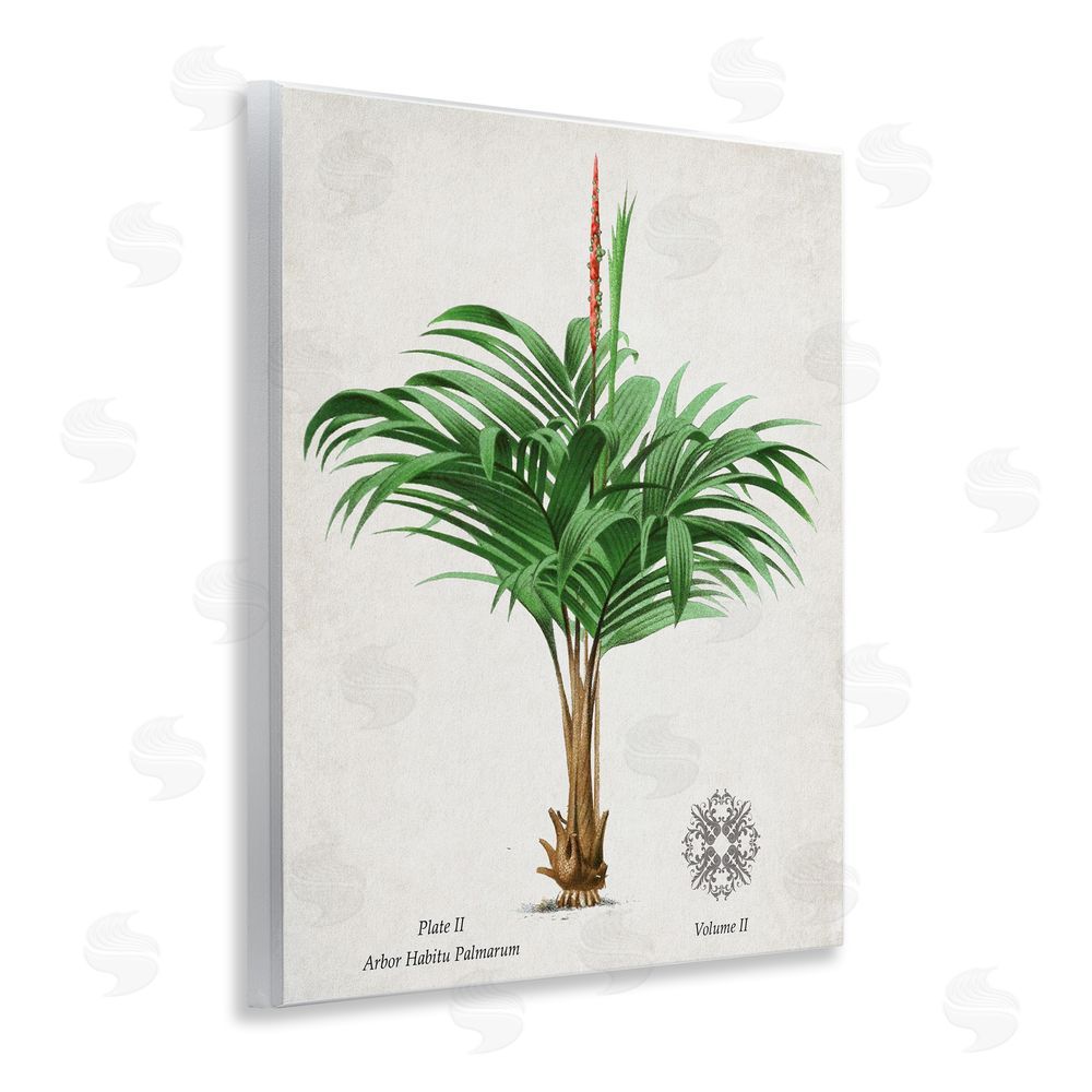 Val Rhodes Natural Palm Variety Study Wall Plaque Art Print