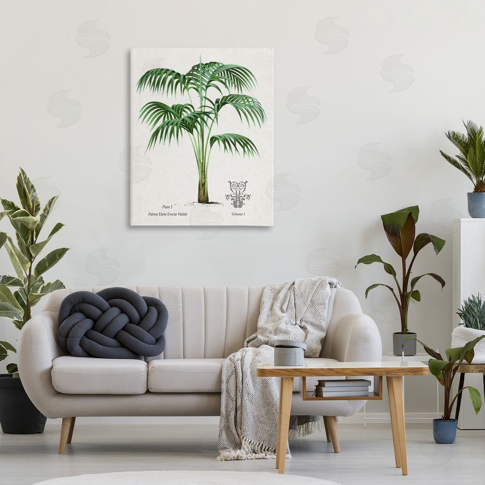 Val Rhodes Natural Palm Study Canvas Wall Art Print in Room
