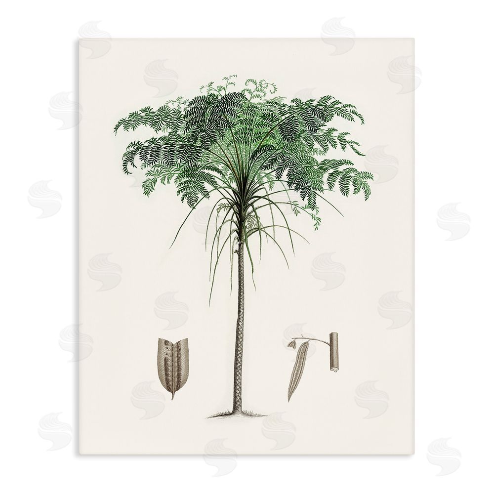 Val Rhodes Vintage Palm Leaves Stretched Canvas Wall Art Print