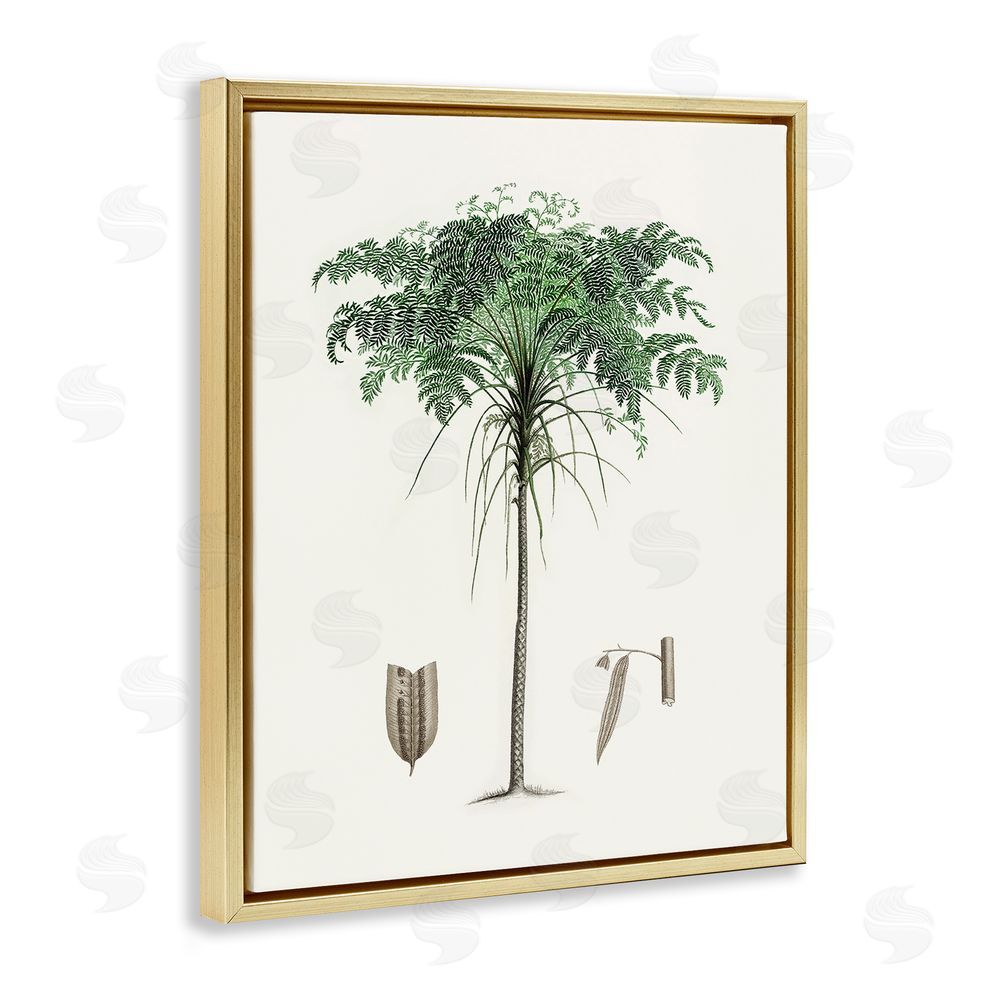 Val Rhodes Vintage Palm Leaves Gold Floating Frame Canvas Wall Art Print