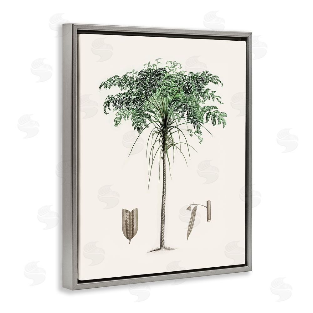 Val Rhodes Vintage Palm Leaves Gray Floating Frame Canvas Wall Art Print