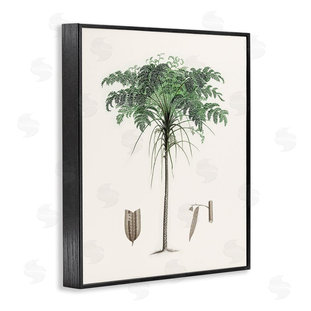 Val Rhodes Vintage Palm Leaves Black Framed Giclee Wall Art Print