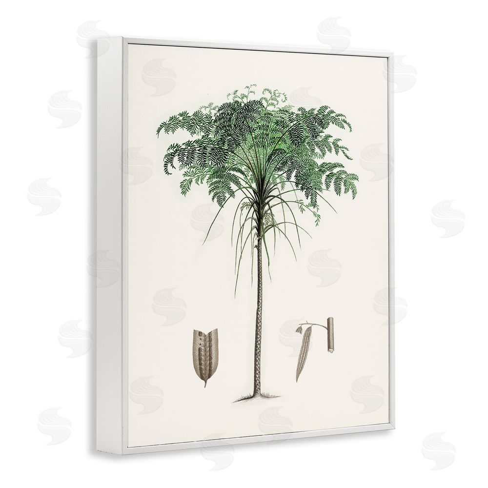 Val Rhodes Vintage Palm Leaves White Framed Giclee Wall Art Print