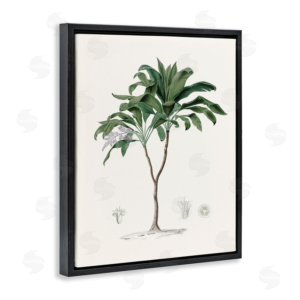Val Rhodes Coastal Palms Vintage Black Floating Frame Canvas Wall Art Print