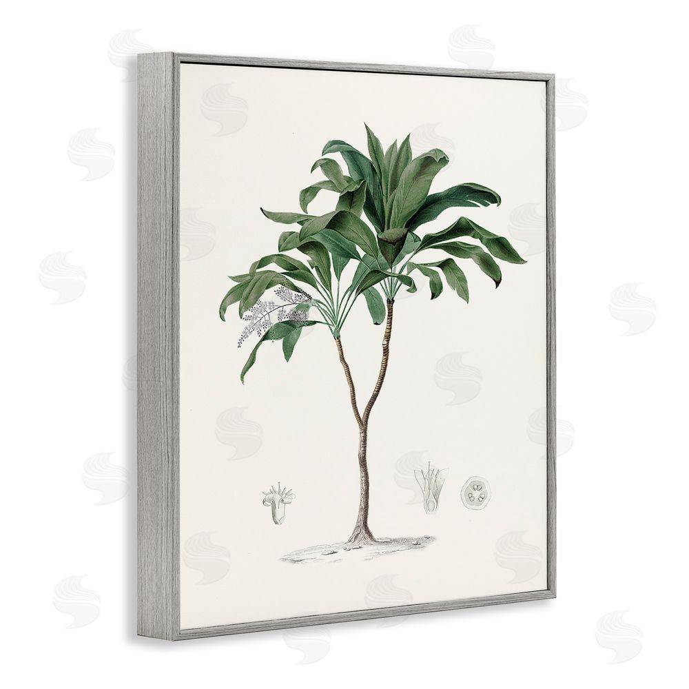 Val Rhodes Coastal Palms Vintage Gray Framed Giclee Wall Art Print
