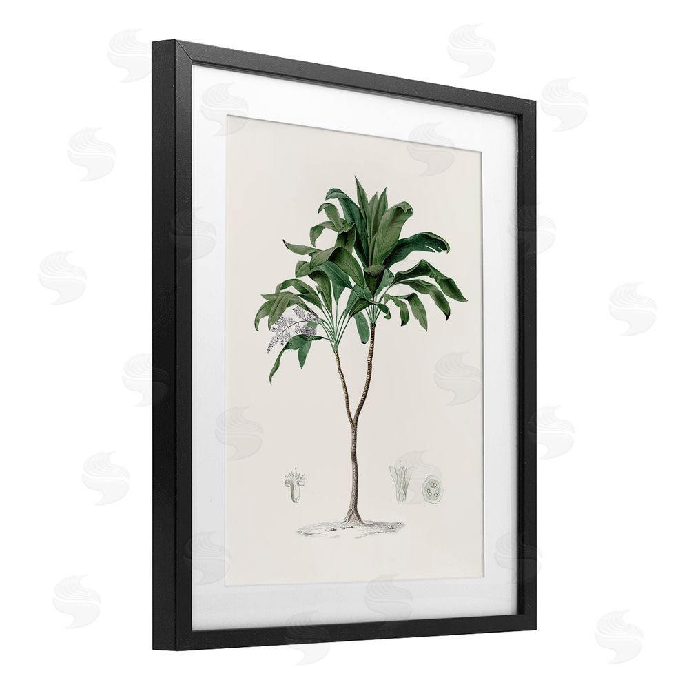 Val Rhodes Coastal Palms Vintage Black Framed Print Under Glass Wall Art