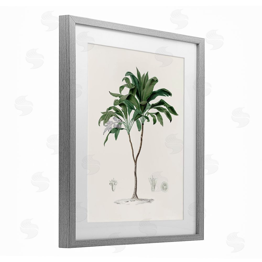 Val Rhodes Coastal Palms Vintage Gray Framed Print Under Glass Wall Art