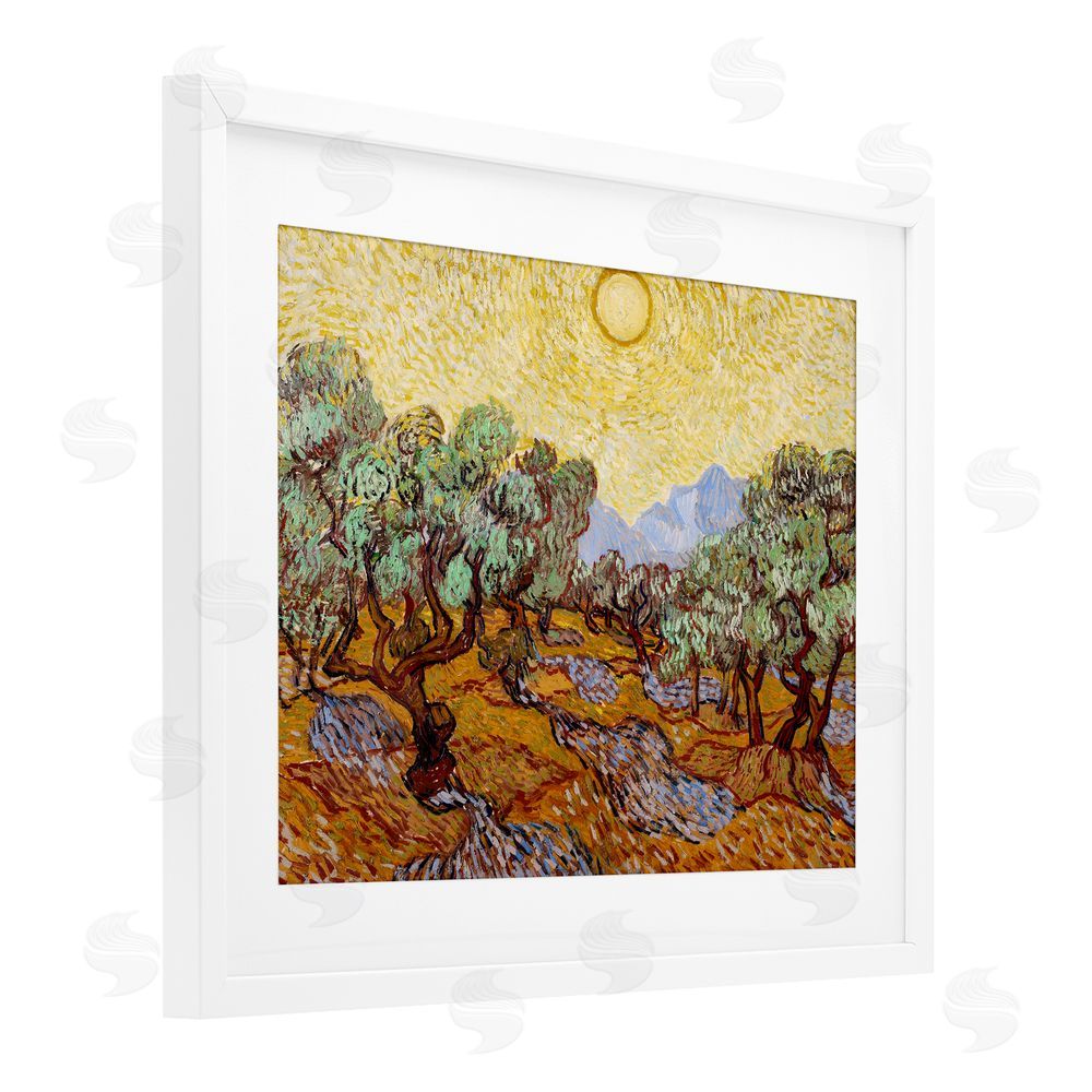 Vincent Van Gogh Olive Trees Van Gogh White Framed Print Under Glass Wall Art